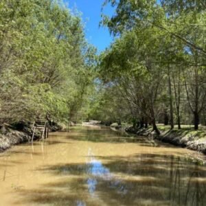 Palmares y Cornamusa