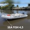 Sea Fish 4,5