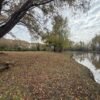 LOTE 8 CORNAMUSA
