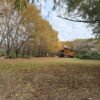 LOTE 8 CORNAMUSA