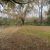 LOTE 8 CORNAMUSA