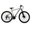 Bicicleta Mtb Fiat 500 R29 Aluminio 21v Shimano Gris con suspensión delantera