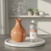 Humidificador aromatizador más 1 esencia de 250 ML