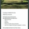 CASA A ESTRENAR EN CORNAMUSA - OPORTUNIDAD
