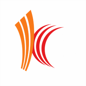 Dirección de Proyecto – PM Industrial