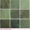 DIVERSITA 30X30