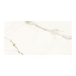 0111264_ANGELGRES-CALACATTA-GOLD-PO-58X120-C-2-09-M2