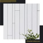 358155578_575052671487424_4138462169757873253_n