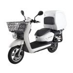 Sunra 300W Cargoo
