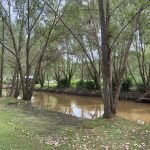 783366bf-0d8a-40a1-9d7e-d2eff6464c6b