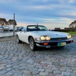 WhatsApp Image 2024-09-16 at 1.02.06 PM (1)