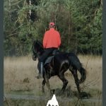 WhatsApp Image 2025-01-08 at 9.52.32 AM