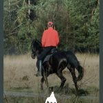 WhatsApp Image 2025-01-10 at 9.09.04 AM