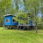 WhatsApp Image 2025-11-07 at 8.19.58 AM