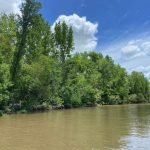 WhatsApp Image 2025-12-05 at 1.27.15 PM