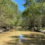 WhatsApp Image 2025-12-29 at 1.31.59 PM (3)