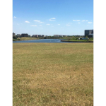 imagen_2024-06-14_113132463