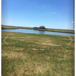 imagen_2024-06-14_113322724